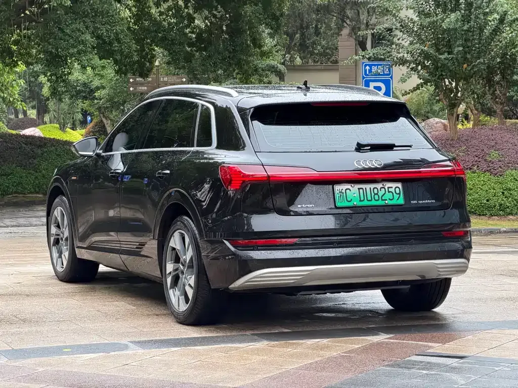 Audi e-tron (Import) — фото 7