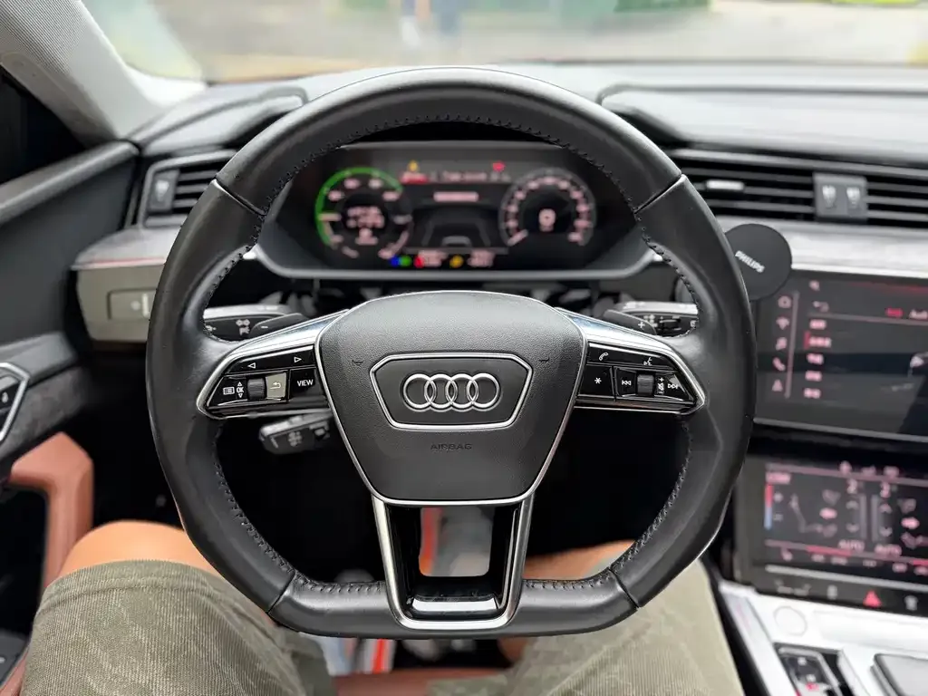 Audi e-tron (Import) — фото 6