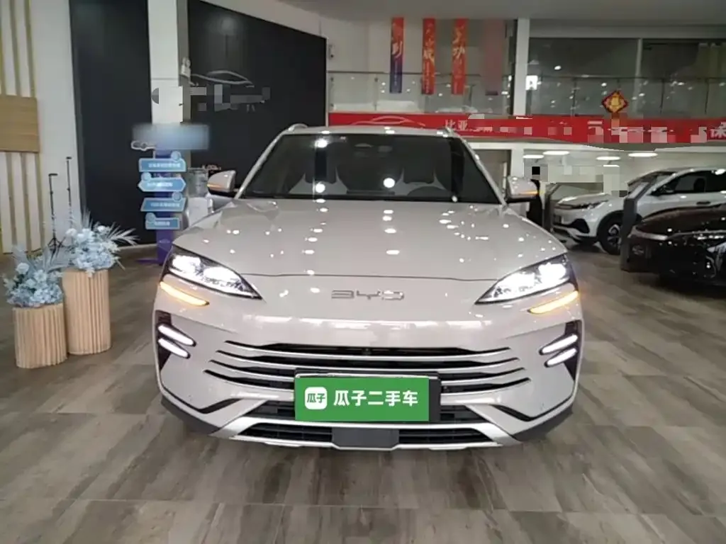 BYD PLUS New Energy — фото 4
