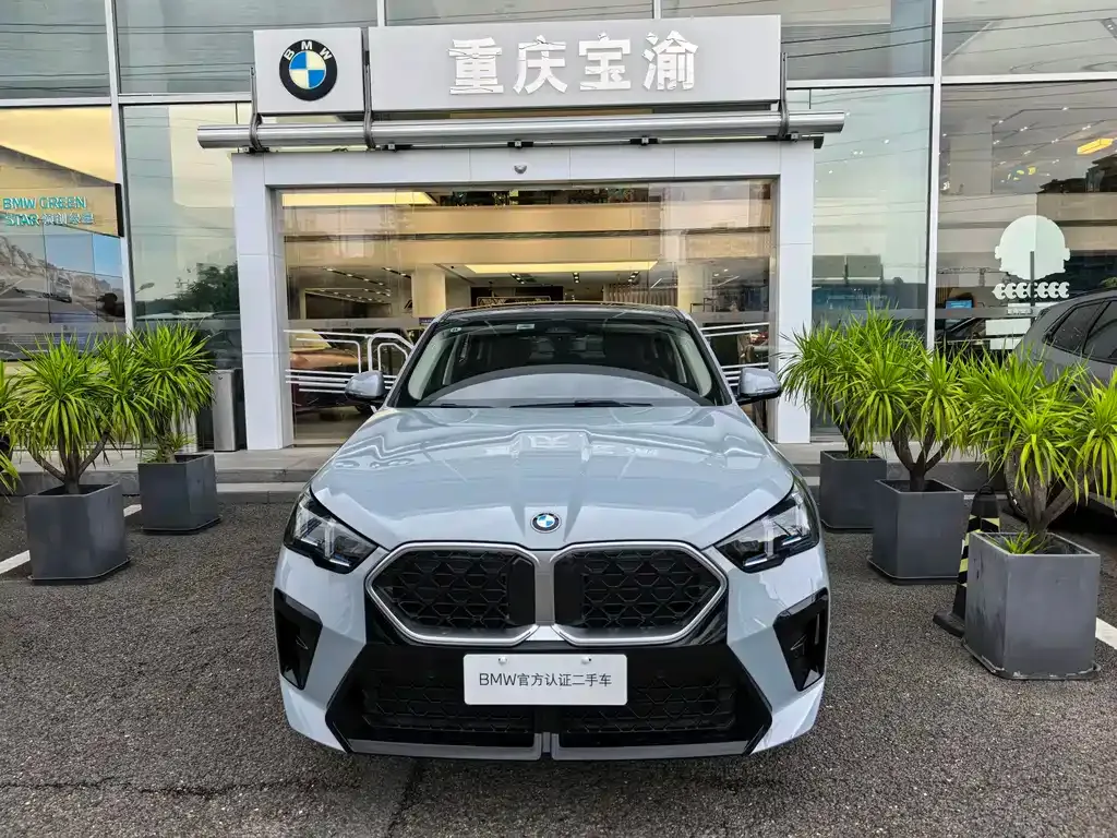BMW X2 (Import) — фото 9