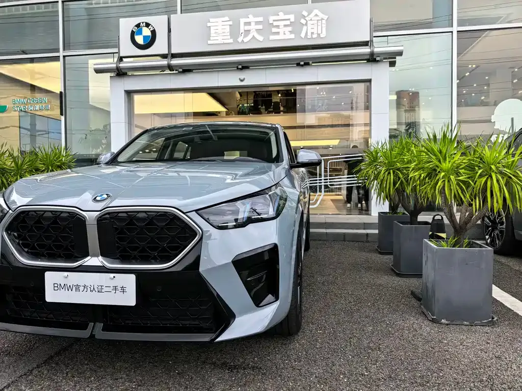 BMW X2 (Import) — фото 6