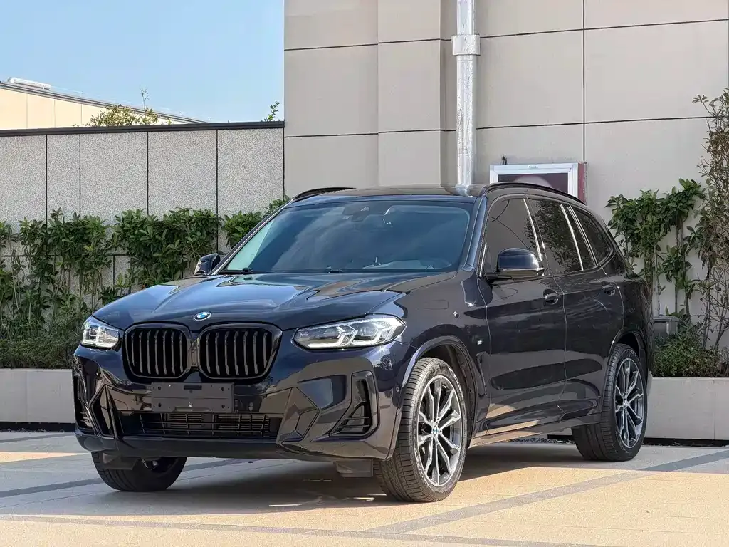 BMW X3 — фото 1