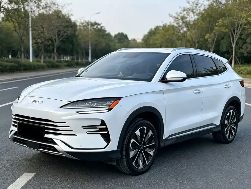 BYD PLUS New Energy — фото 1