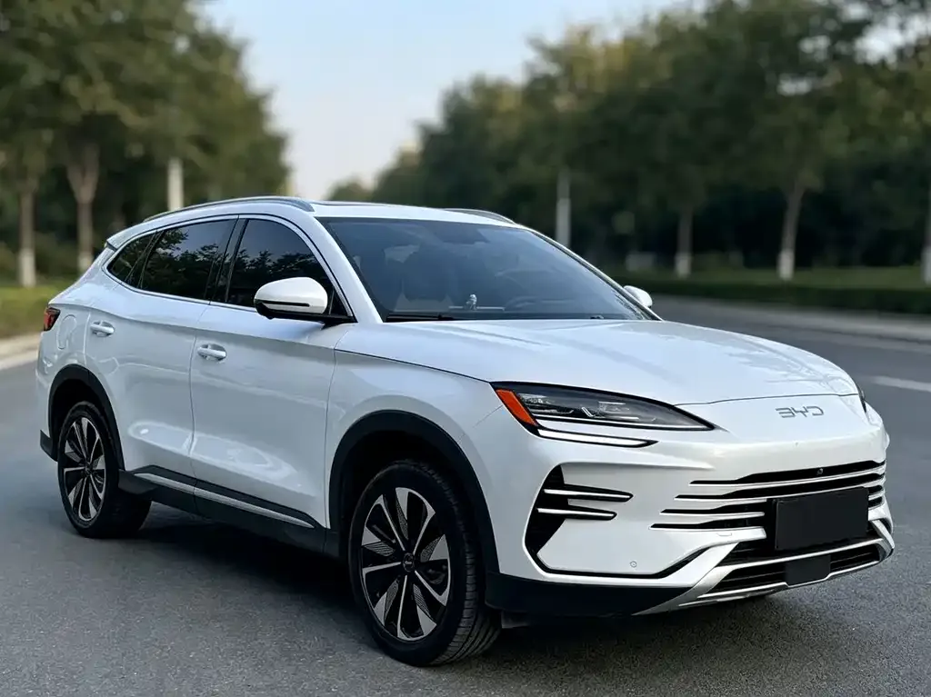 BYD PLUS New Energy — фото 4