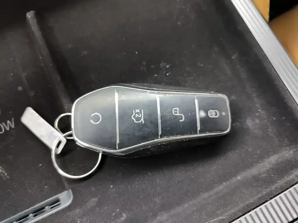 BYD L DM-i — фото 2