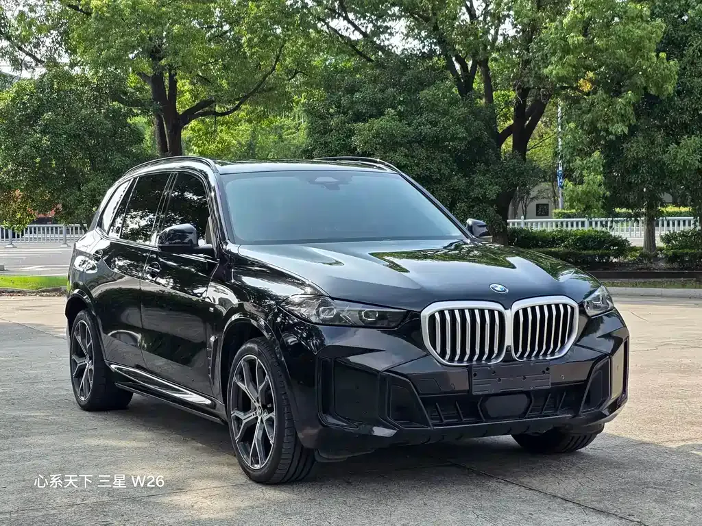 BMW X5 — фото 5