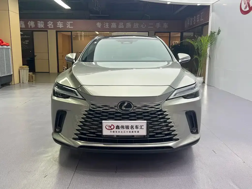 Lexus RX — фото 10