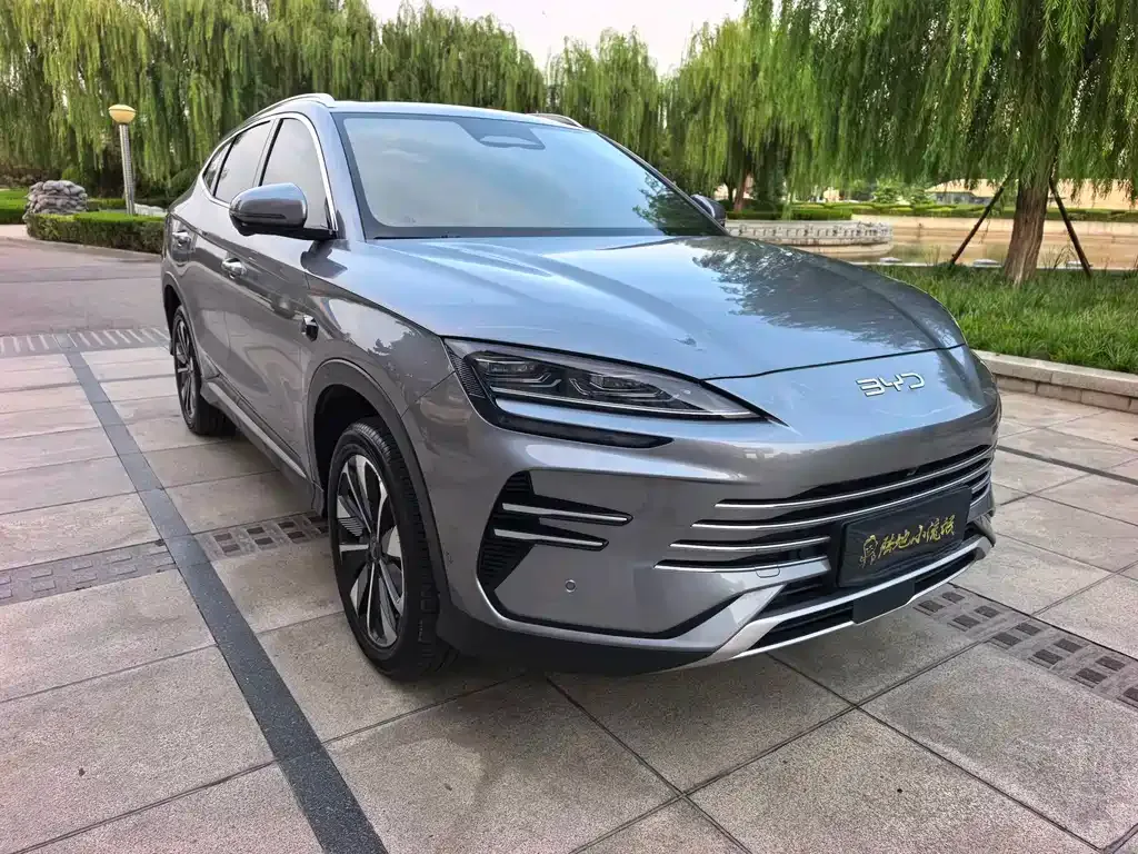 BYD PLUS New Energy — фото 1