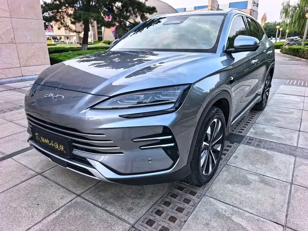 BYD PLUS New Energy — фото 7