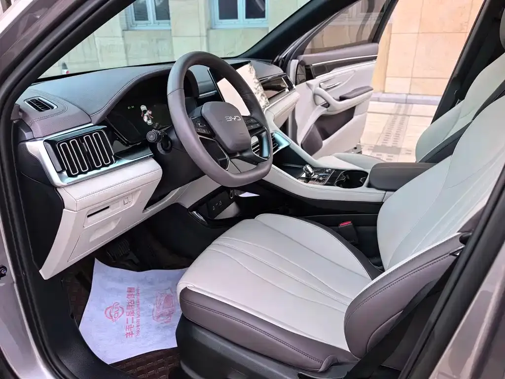 BYD PLUS New Energy — фото 10
