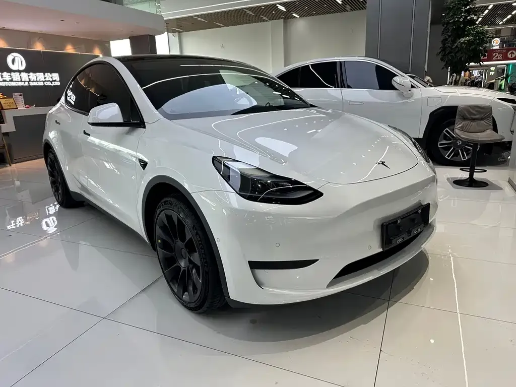 Tesla Model Y — фото 6