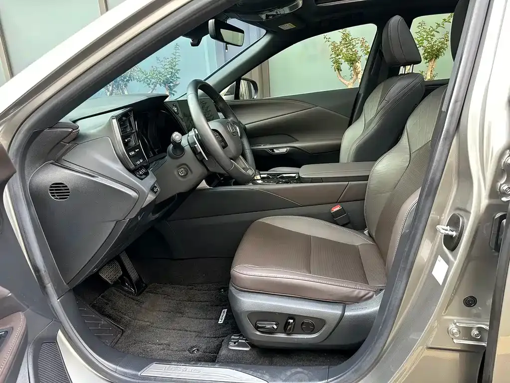 Lexus RX — фото 10