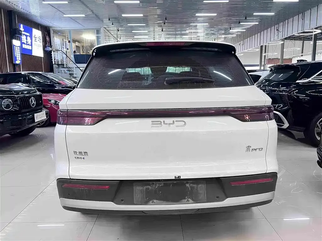 BYD Pro New Energy — фото 4