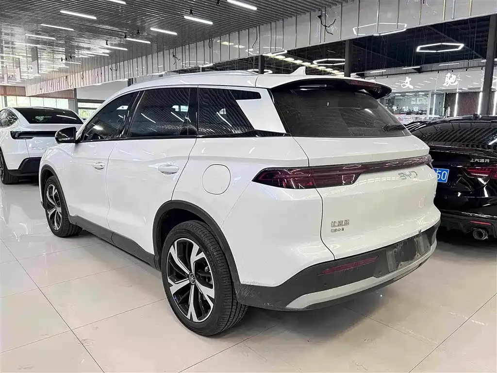 BYD Pro New Energy — фото 7