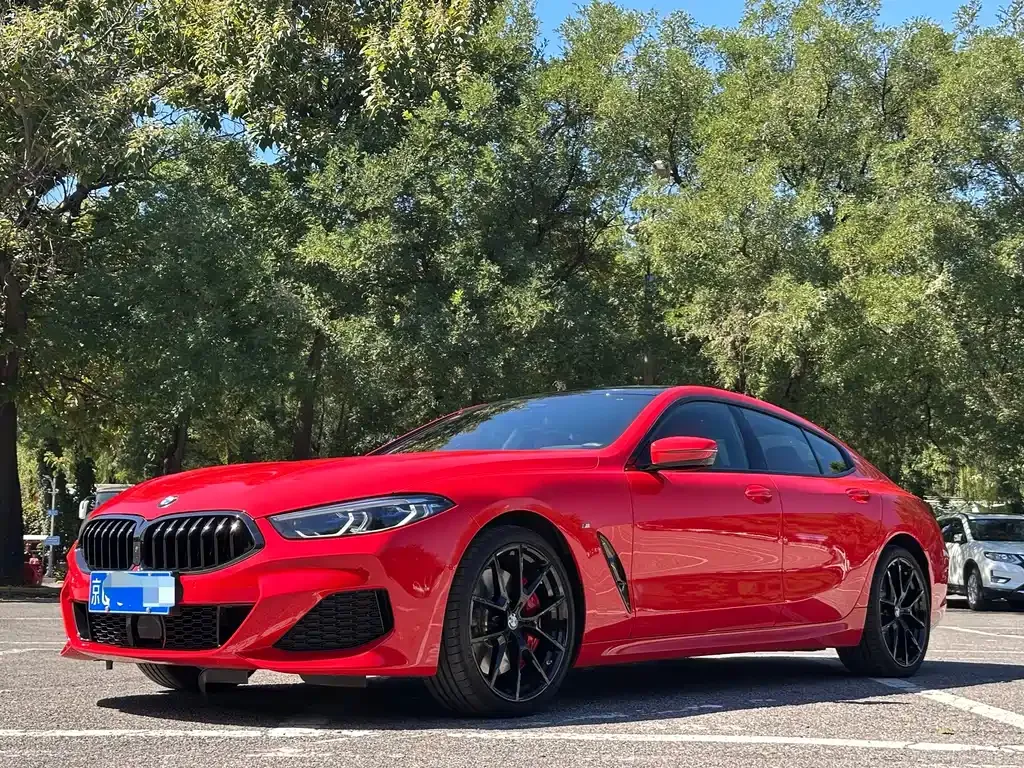 BMW 8 Series — фото 1