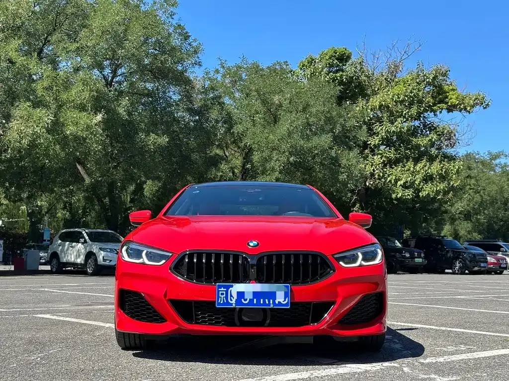 BMW 8 Series — фото 8
