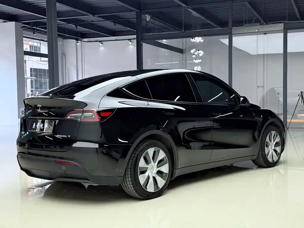 Tesla Model Y — фото 10