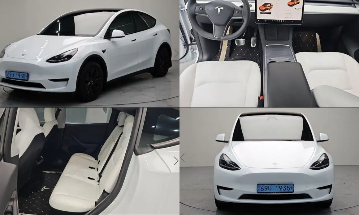 Tesla Model Y — фото 1