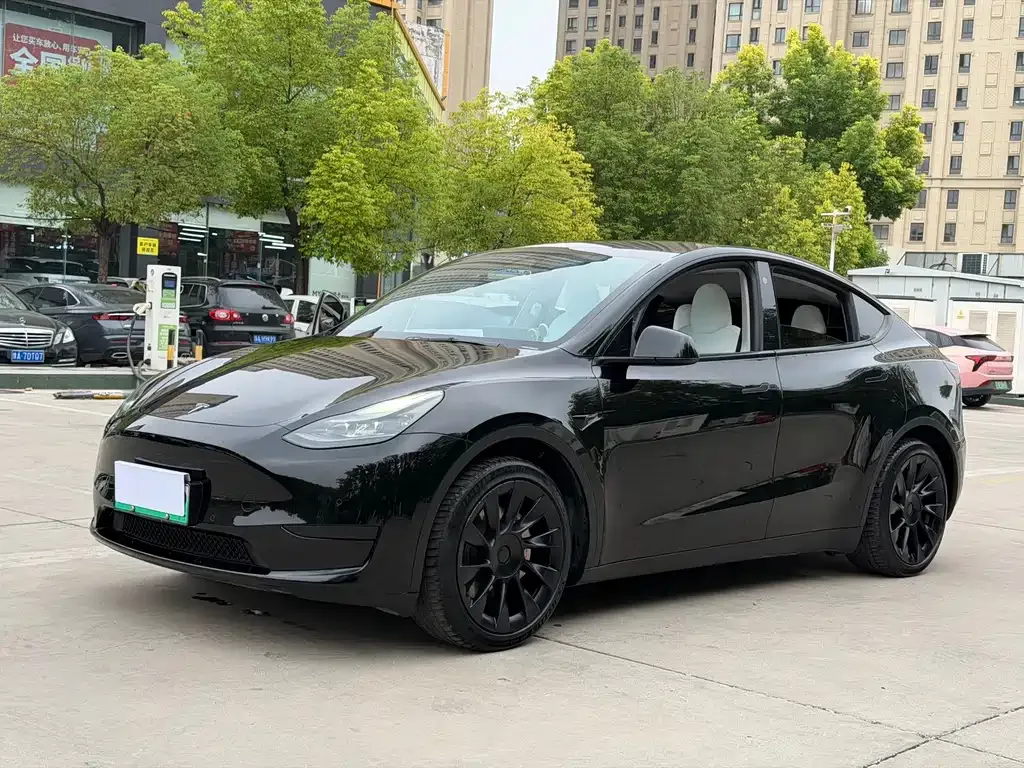 Tesla Model Y — фото 1