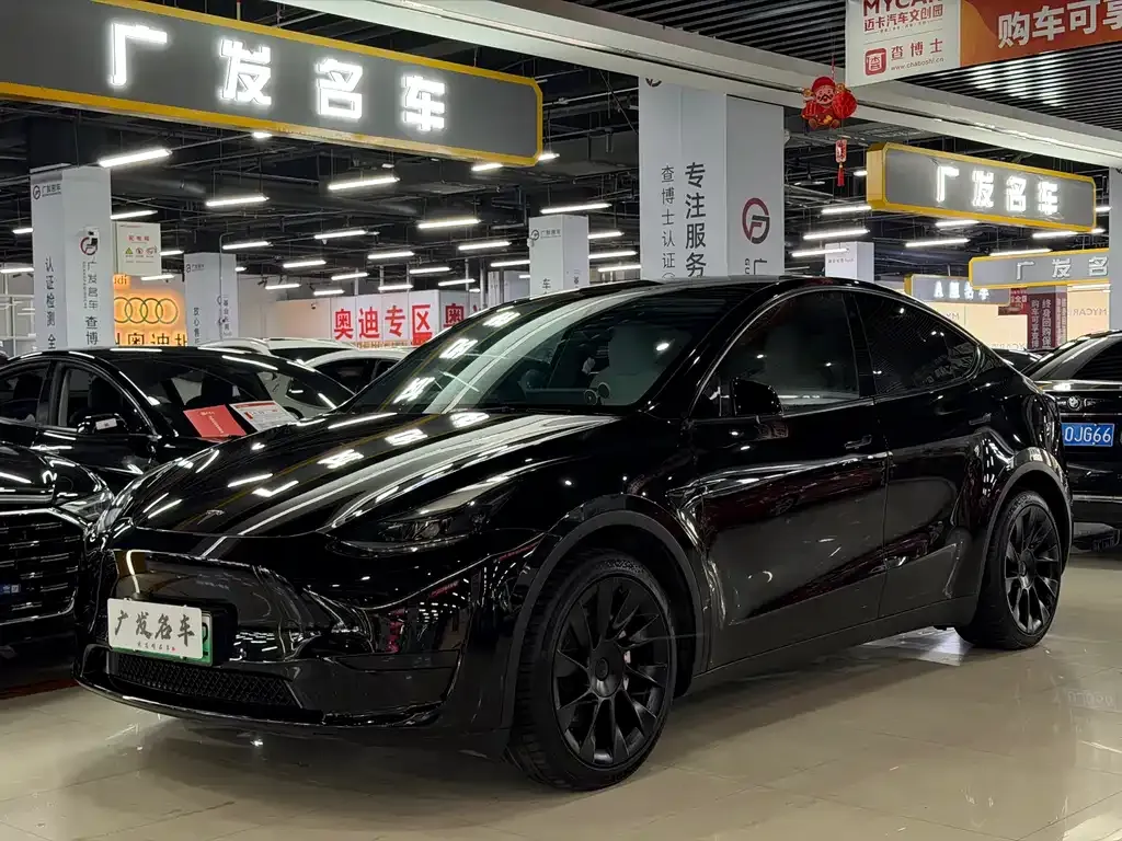 Tesla Model Y — фото 10