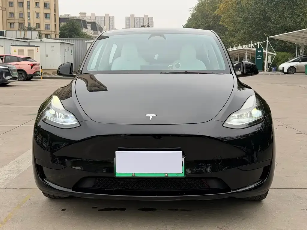 Tesla Model Y — фото 8