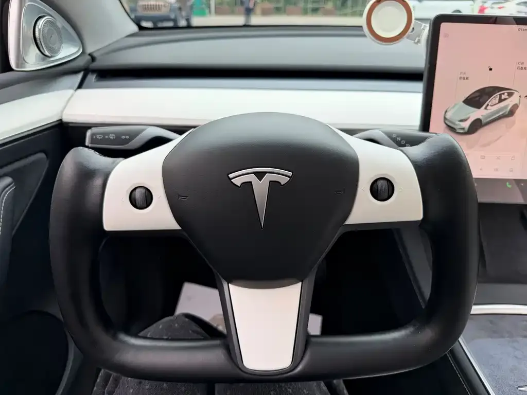Tesla Model Y — фото 9