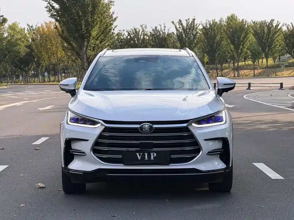 BYD Tang New Energy — фото 10