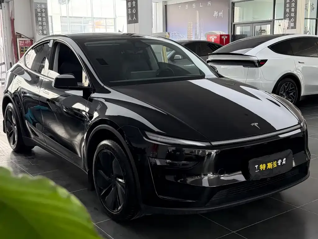Tesla Model Y — фото 2