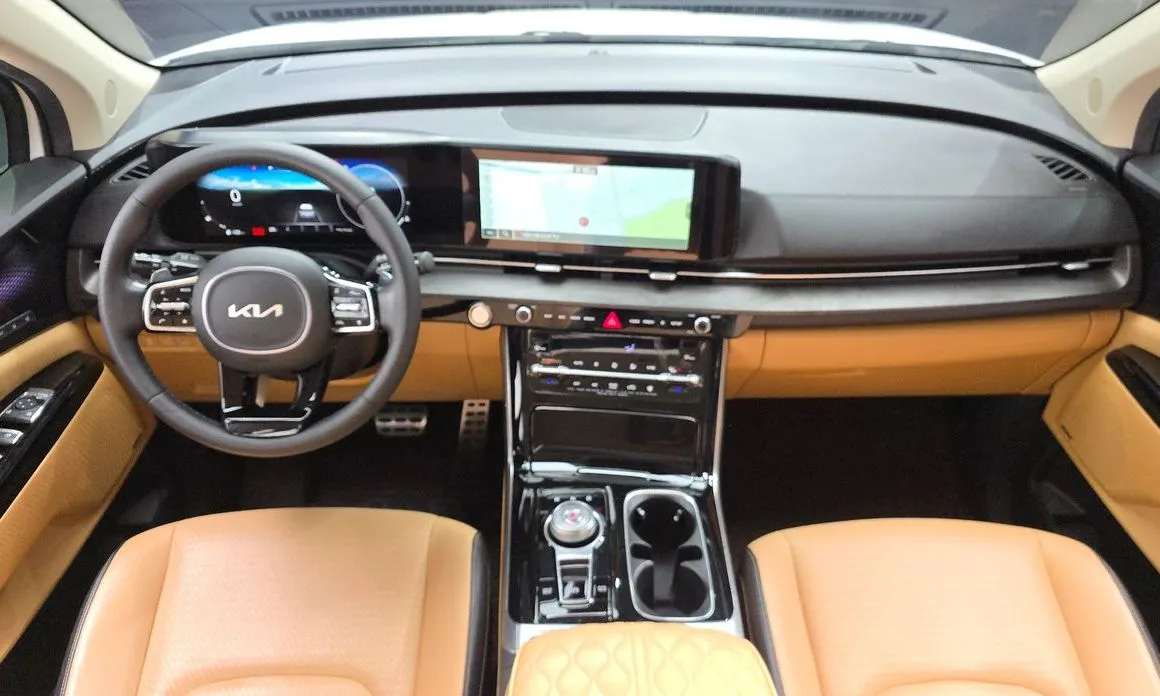 Kia Carnival — фото 10