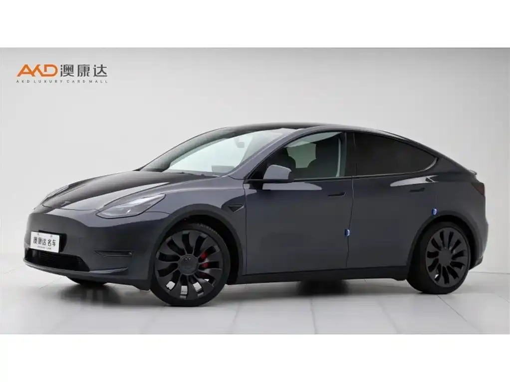 Tesla Model Y — фото 1