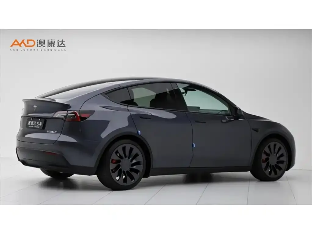 Tesla Model Y — фото 8