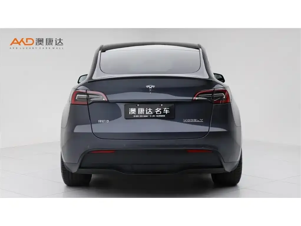 Tesla Model Y — фото 9