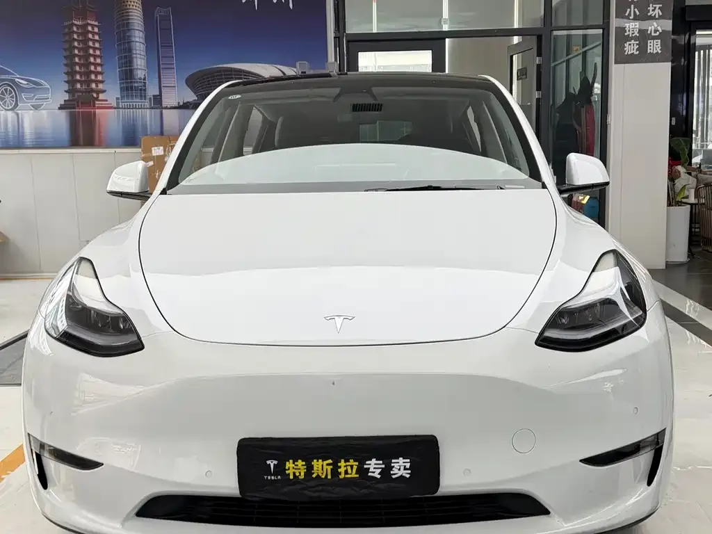 Tesla Model Y — фото 8