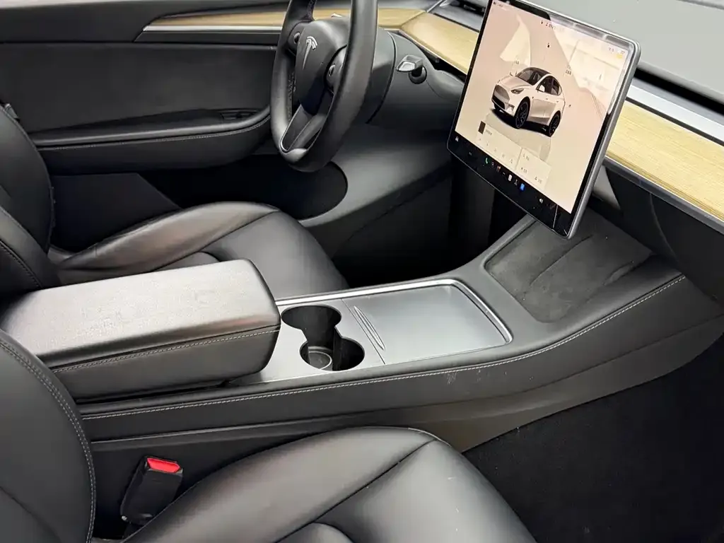 Tesla Model Y — фото 4