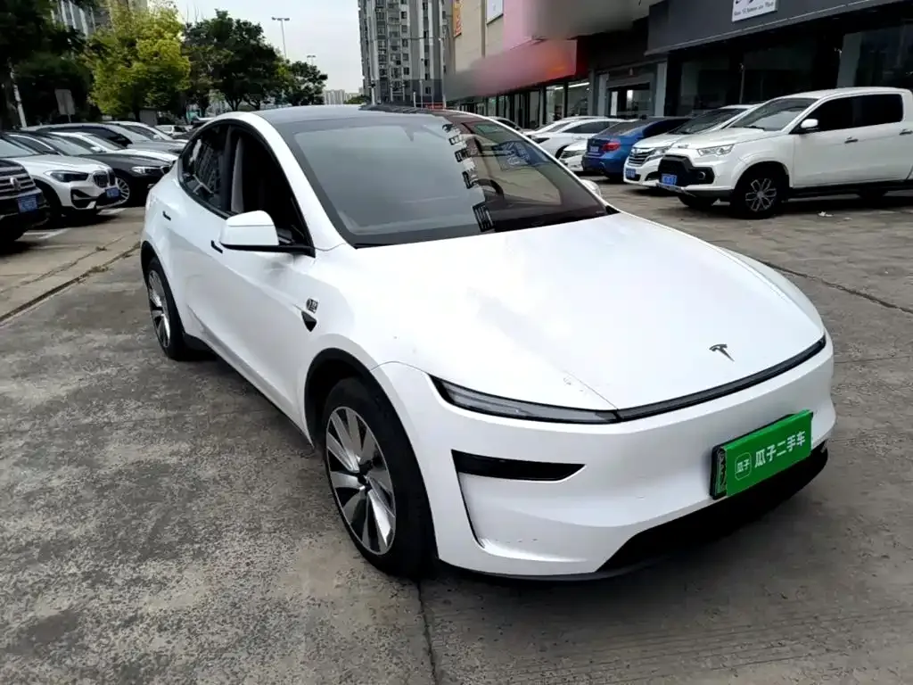 Tesla Model Y — фото 6