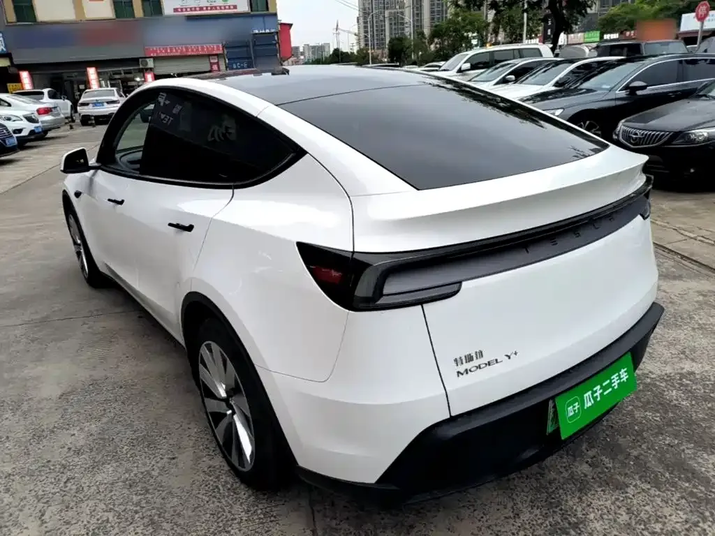 Tesla Model Y — фото 10