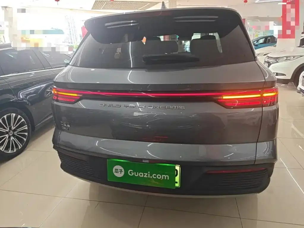 BYD Pro New Energy — фото 2