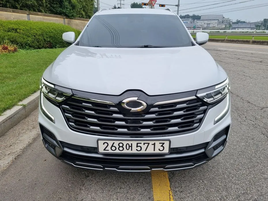 Renault Korea (Samsung) QM6 — фото 8
