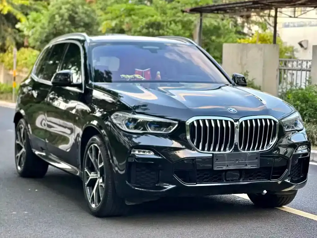 BMW X5 (Import) — фото 6