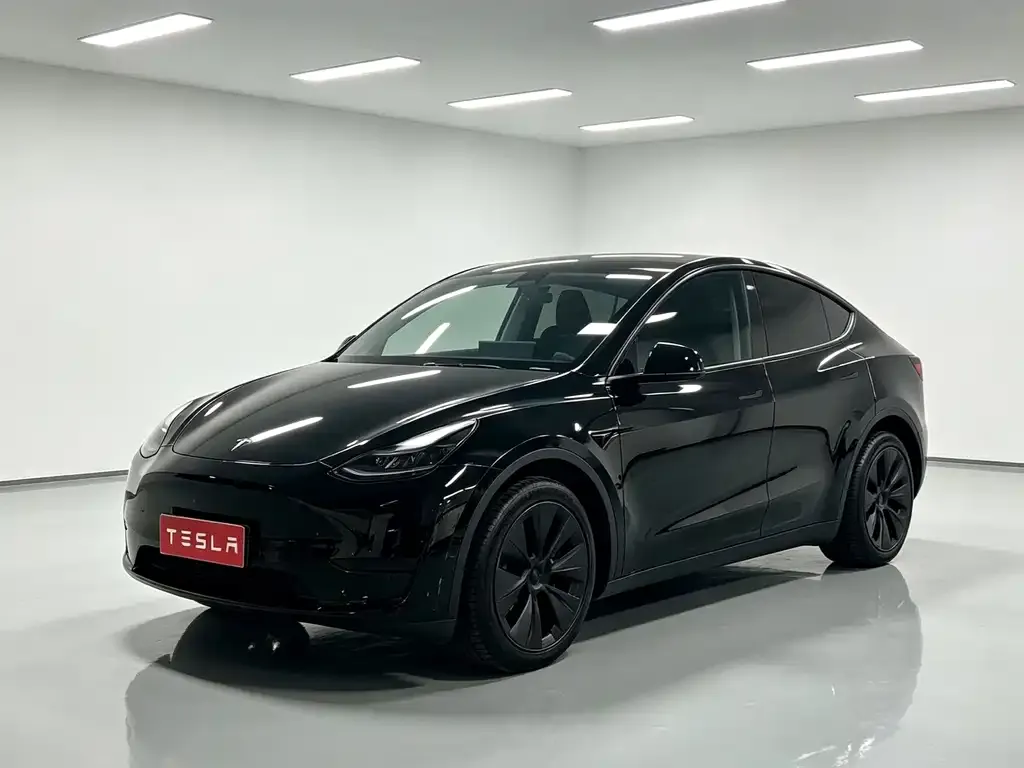 Tesla Model Y — фото 3