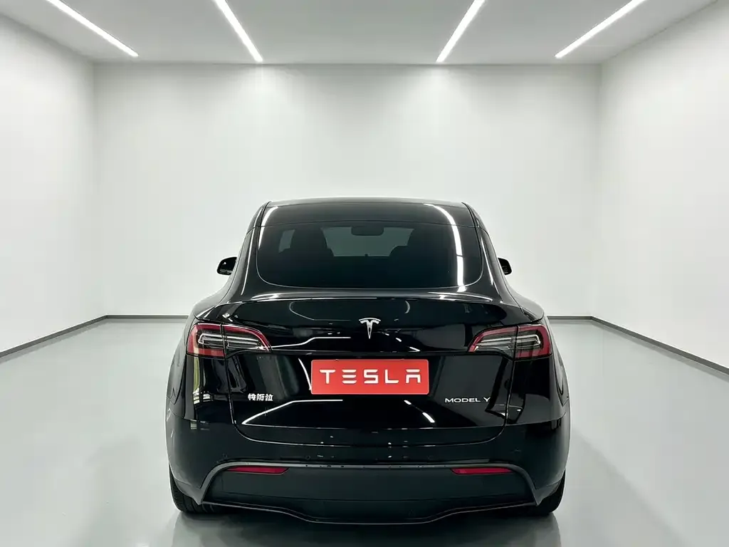Tesla Model Y — фото 2