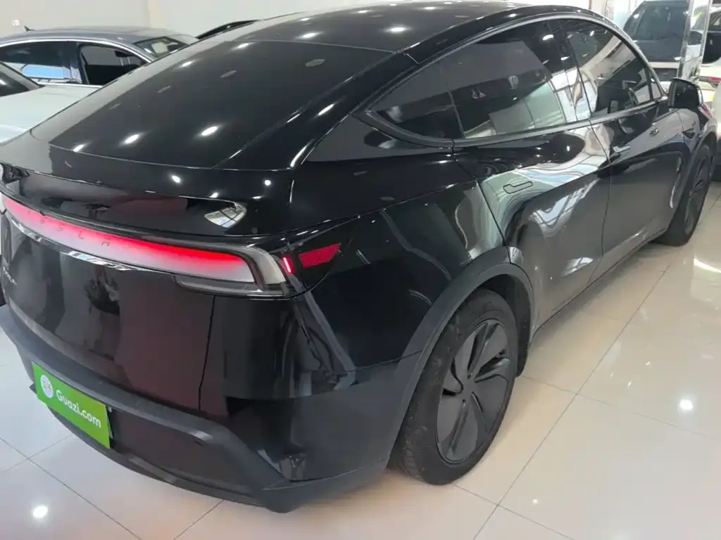 Tesla Model Y — фото 10
