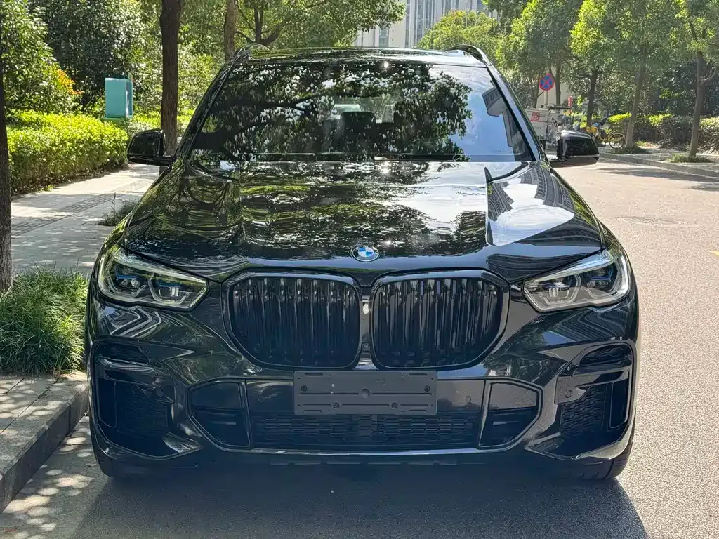 BMW X5 — фото 9