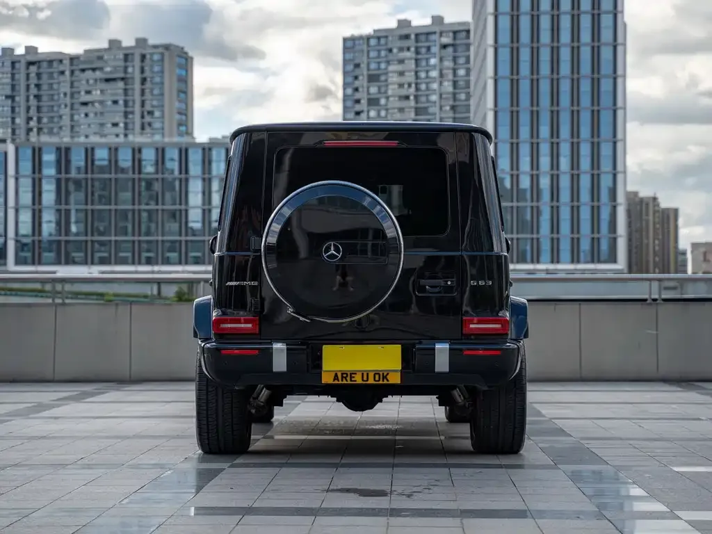 Mercedes-Benz G-Class AMG — фото 7