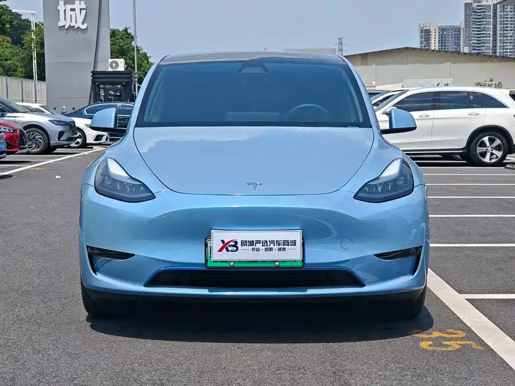 Tesla Model Y — фото 9