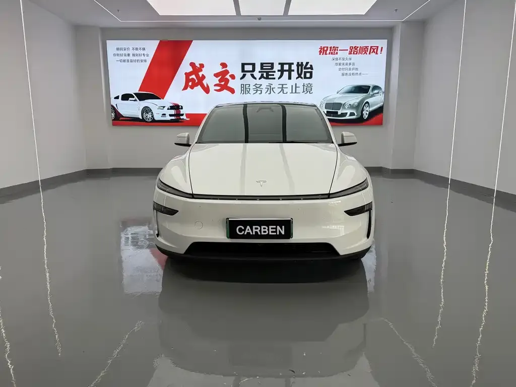 Tesla Model Y — фото 10