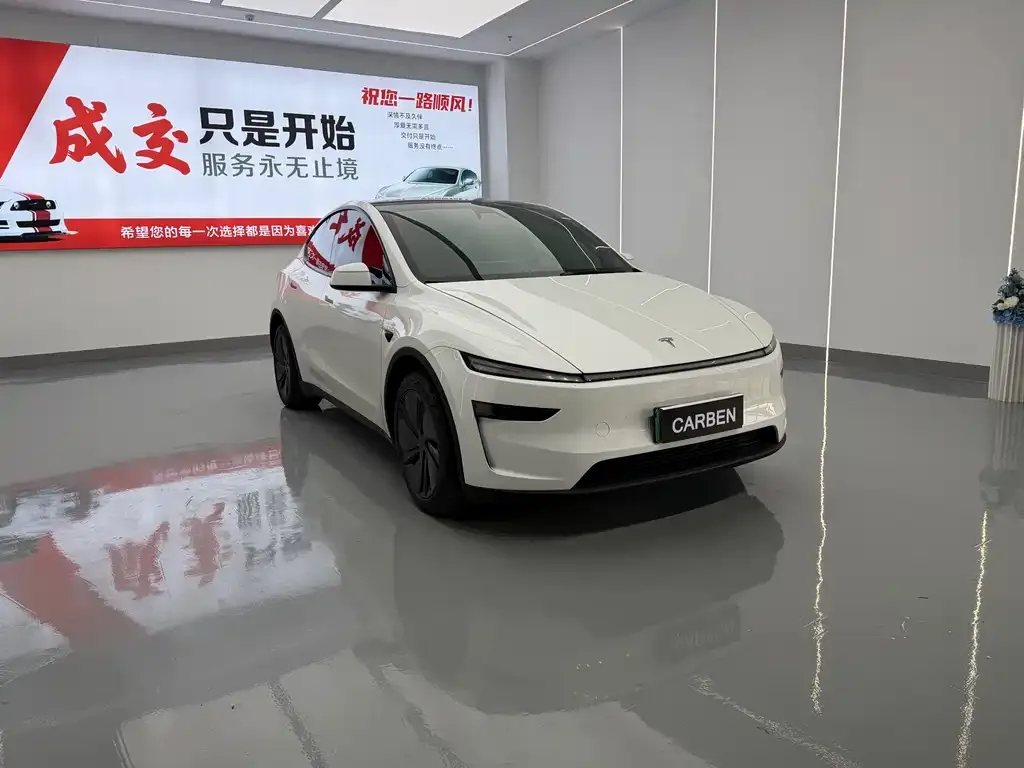 Tesla Model Y — фото 4