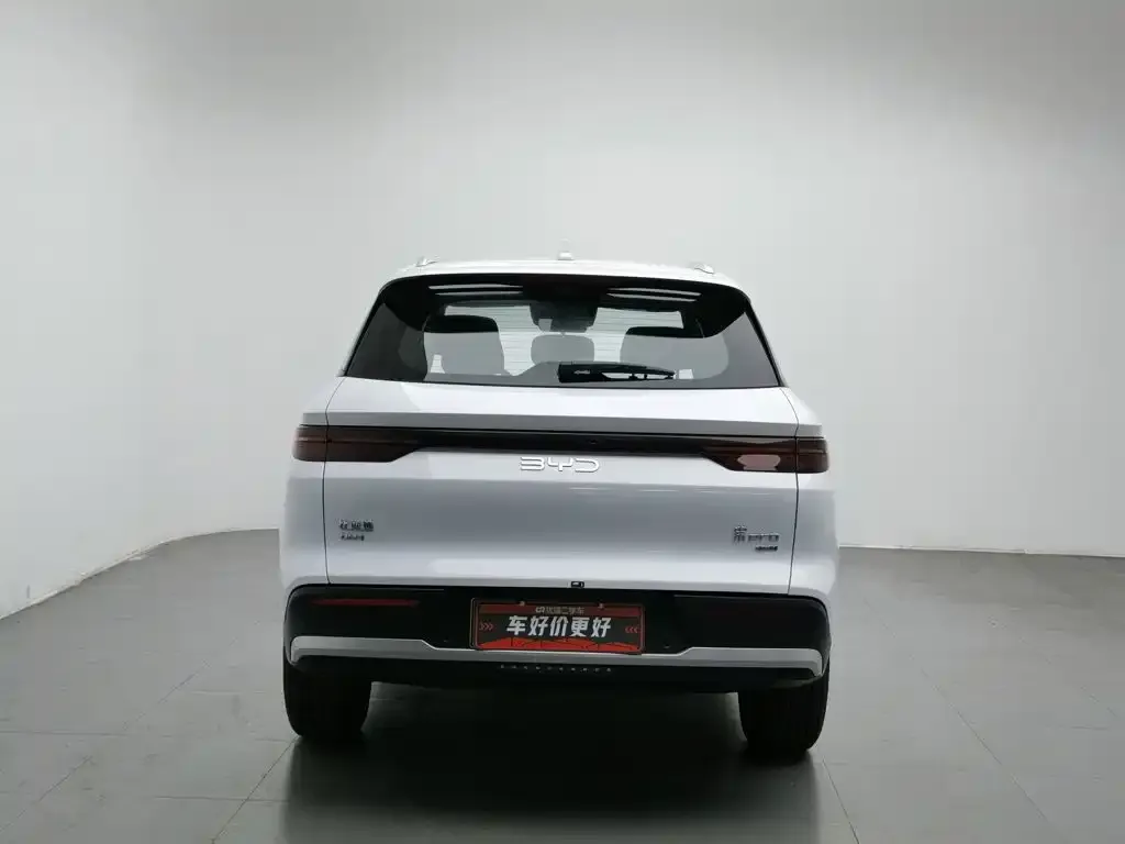 BYD Pro New Energy — фото 4