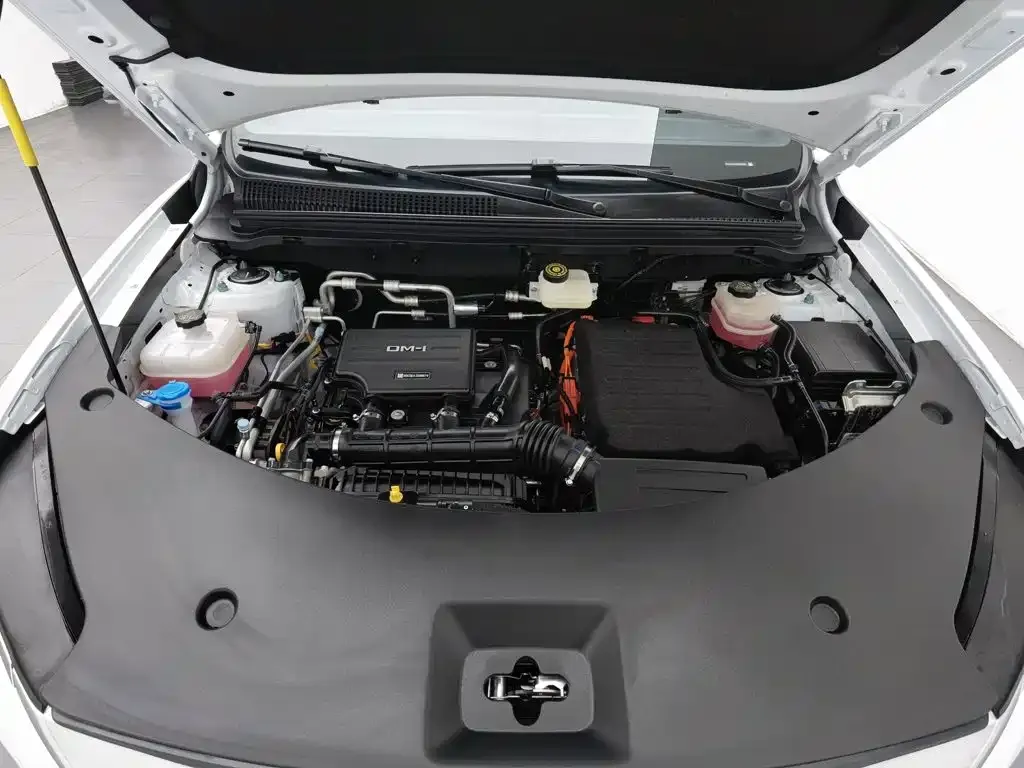 BYD Pro New Energy — фото 10