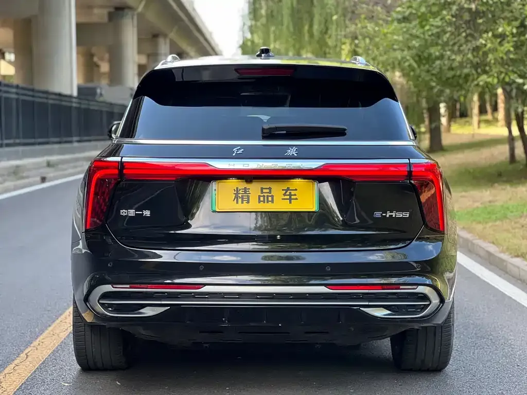 Hongqi E-HS9 — фото 4